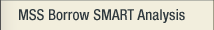 MSS Borrow SMART Analysis